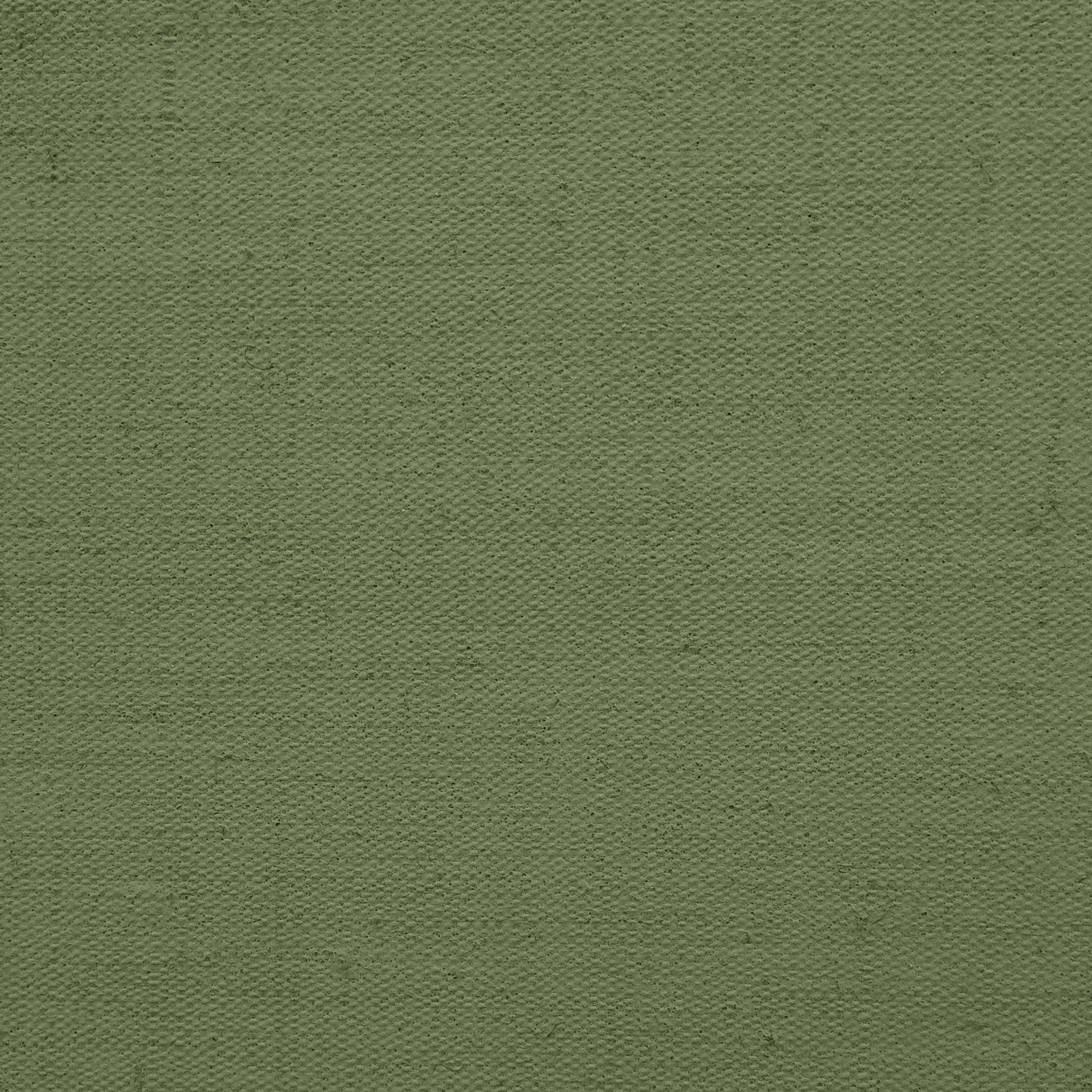 Painted Linen Texture - Olive Green